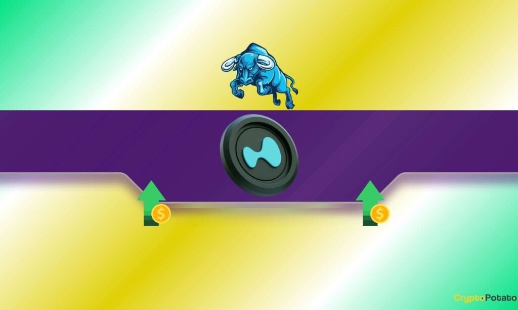 HYPE Rallies 36% in a Week, But Momentum Nears a Crossroad HYPE Rallies 36% in a Week, But Momentum Nears a Crossroad