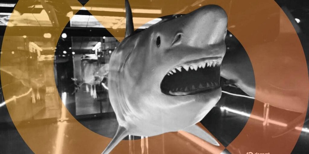 No Bull? Bitcoin Recognized as ‘Apex Predator of Money’ With Shark Statue Decrypt logo