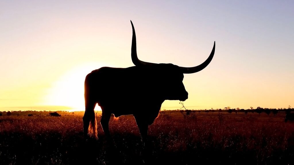 XRP Sparks Bullish Frenzy As Top Dev Says It Beats ETF Hype