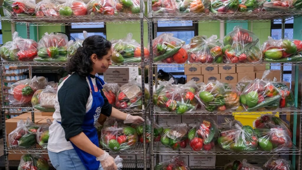 SNAP food stamps, hunger, and an America wasting $400 billion in meals each year